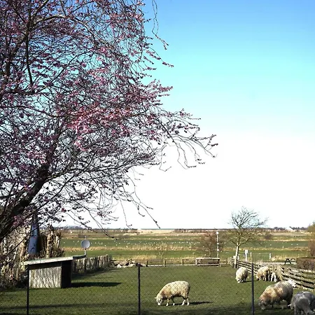 An Der Marsch 27, Haus Auf Foehr Og *